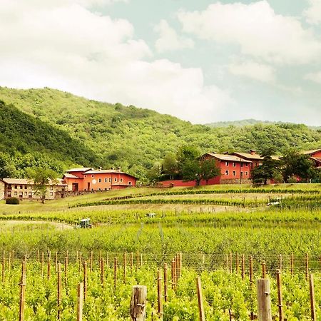 Agriturismo L'Uva E Le Stelle Faedis Exteriör bild