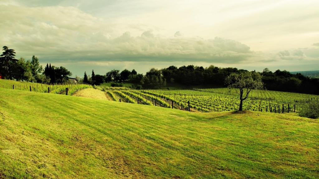 Agriturismo L'Uva E Le Stelle Faedis Exteriör bild