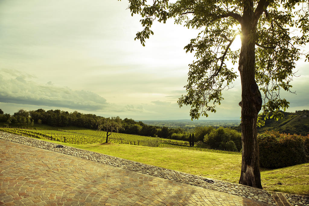 Agriturismo L'Uva E Le Stelle Faedis Exteriör bild